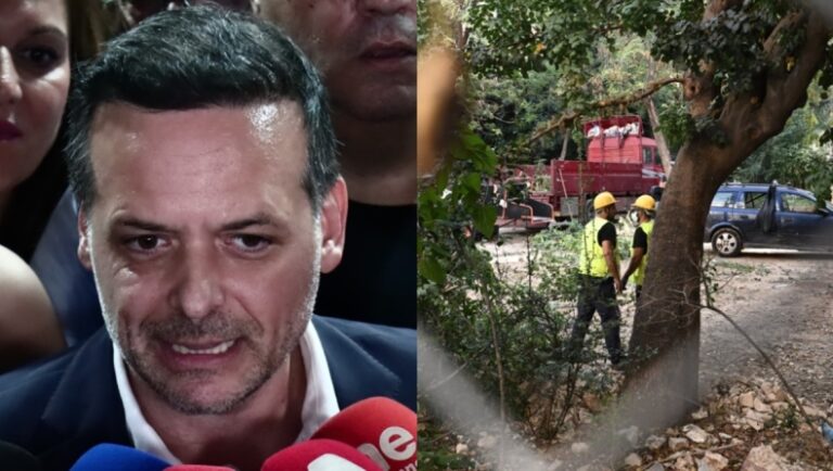 Τι αναφέρει ο Χάρης Δούκας για το κόψιμο των δέντρων στα Εξάρχεια